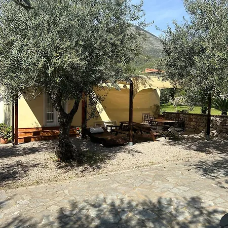 Apartamento L'ulivo *